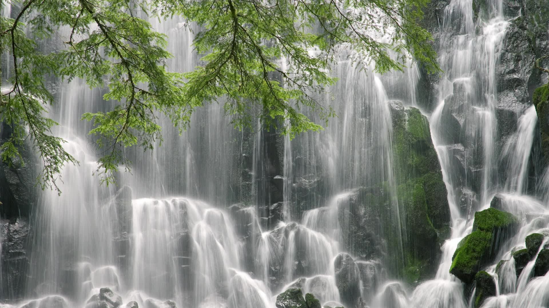 世界自行车智慧训练营：数据驱动个性化训练成为趋势，全球自行车产业链信息网